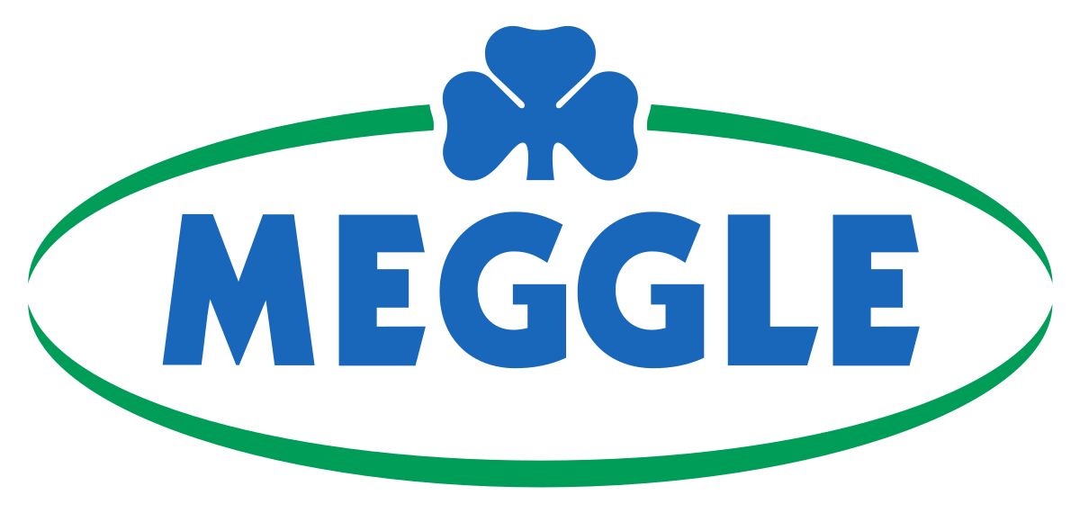 Logo Meggle bunt